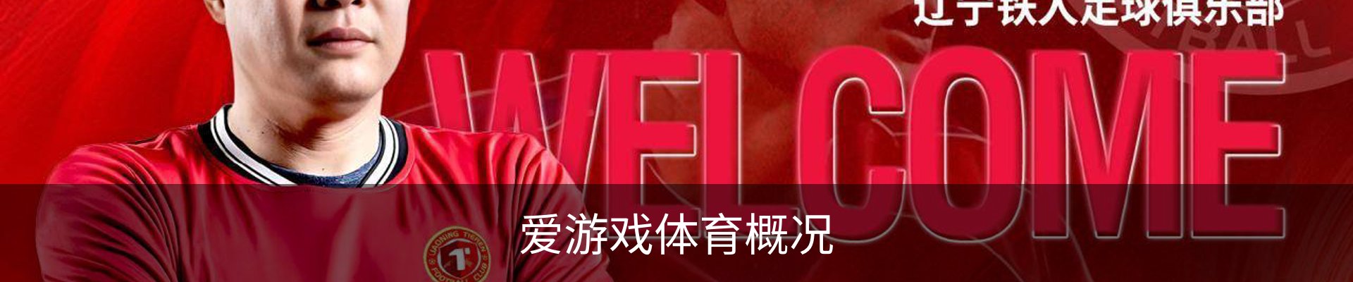爱游戏体育概况
